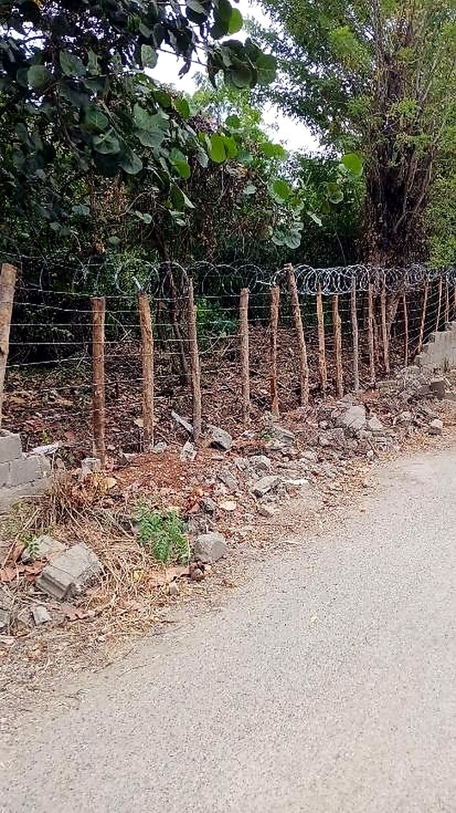 Temporary fencing with posts and concertina wire