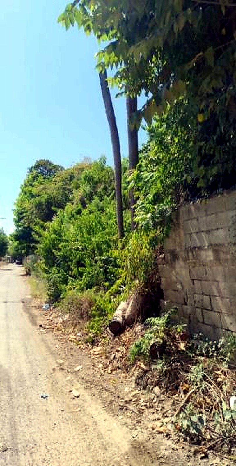 Additional collapsed perimeter wall section